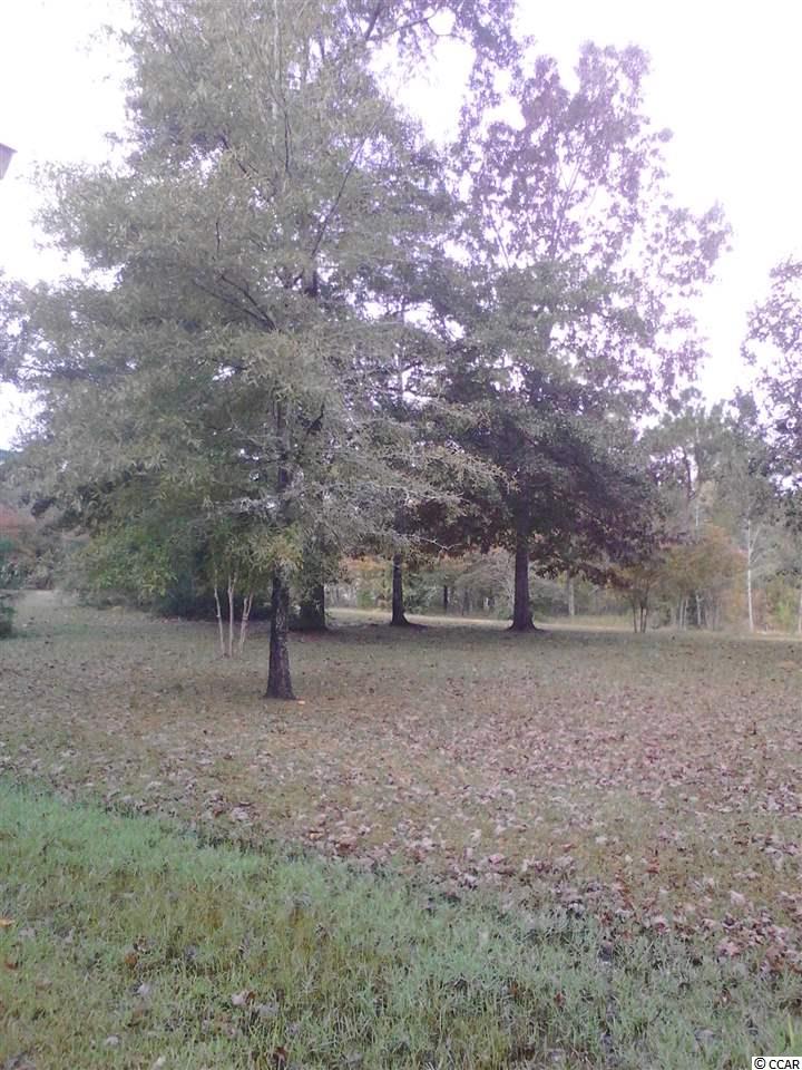 lot 8Robin Drive, Georgetown, SC 29440