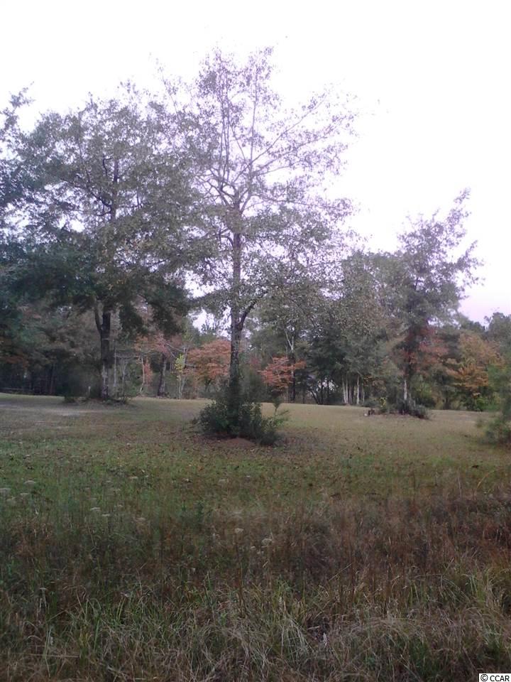 lot 7Robin Drive, Georgetown, SC 29440
