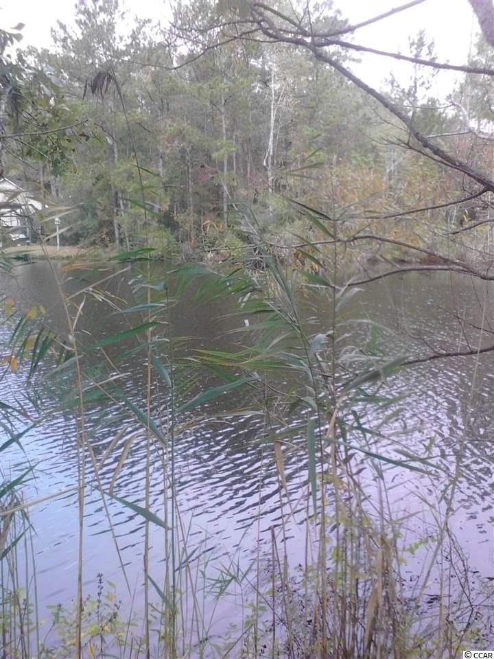 lot 7Robin Drive, Georgetown, SC 29440