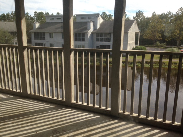 308 Greenmeadow DrGoose Creek, SC, 29445Berkeley County
