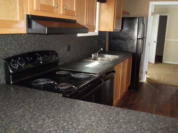 Birch Hollow 313 Stoneboro Drive Lot STO313Goose Creek, SC 29445