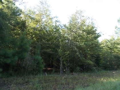 0 Carson Hill Lane, Huger, SC 29450