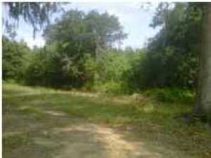 0 Shadow Pond Road, Johns Island, SC 29455