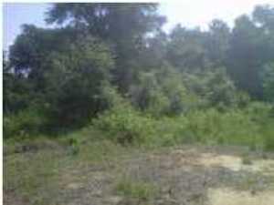 0 Shadow Pond Road, Johns Island, SC 29455