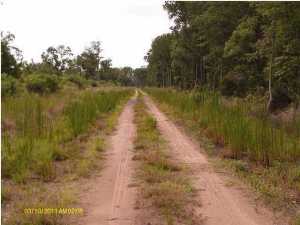 0 Shadow Pond Road, Johns Island, SC 29455