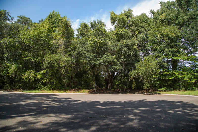 4290 Turtle Landing Court, Johns Island, SC 29455