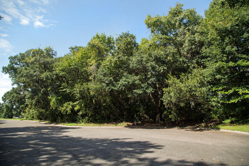 4290 Turtle Landing Court, Johns Island, SC 29455