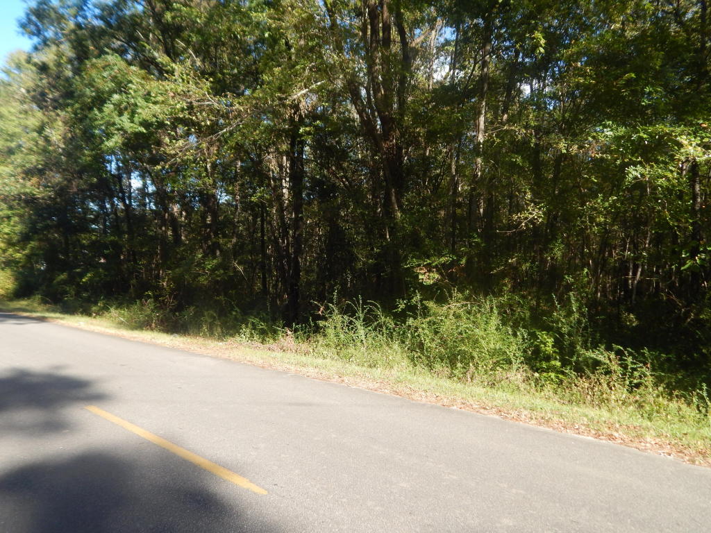 3132 Estate Road, Moncks Corner, SC 29461