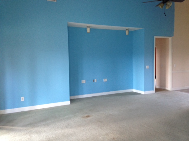 637 Flat Bush LanePinopolis, SC, 29469Berkeley County