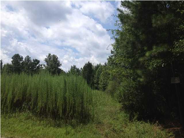 0 Red Hill Road, Ridgeville, SC 29472
