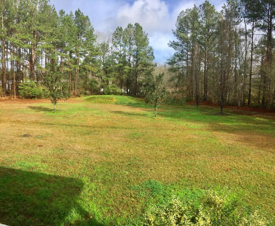2025 Tacoma Circle, Ridgeville, SC 29472