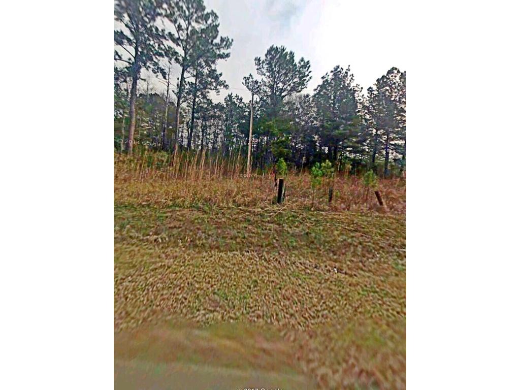 0 1st Texas Road, Saint George, SC 29477