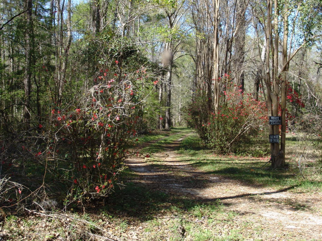 512 Twin Lake Drive, Summerville, SC 29483