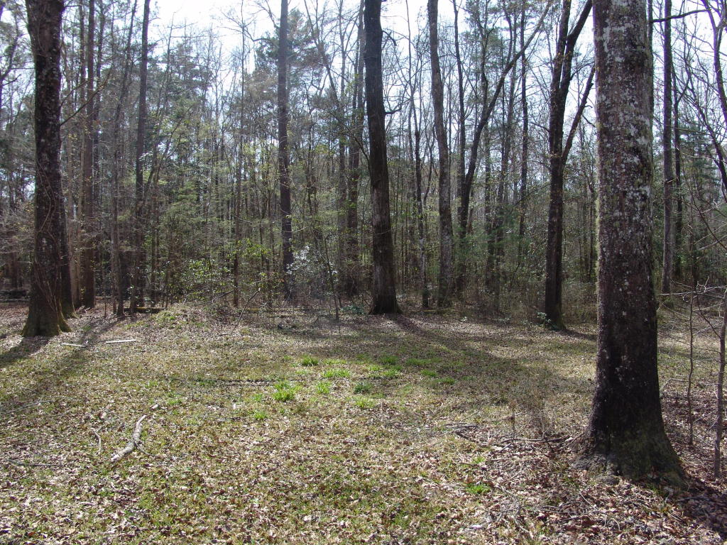 512 Twin Lake Drive, Summerville, SC 29483