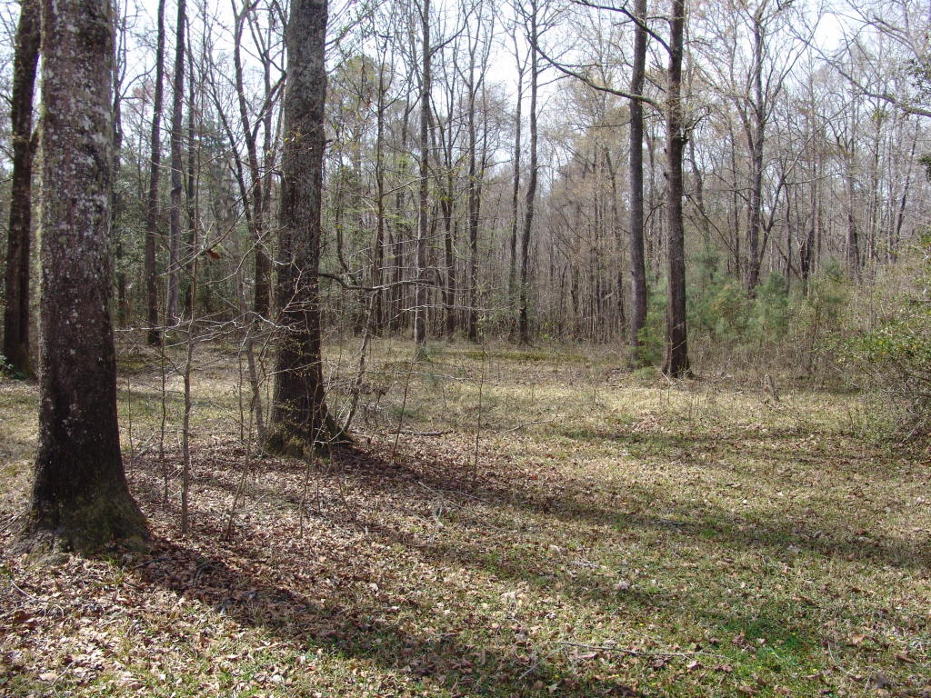 512 Twin Lake Drive, Summerville, SC 29483