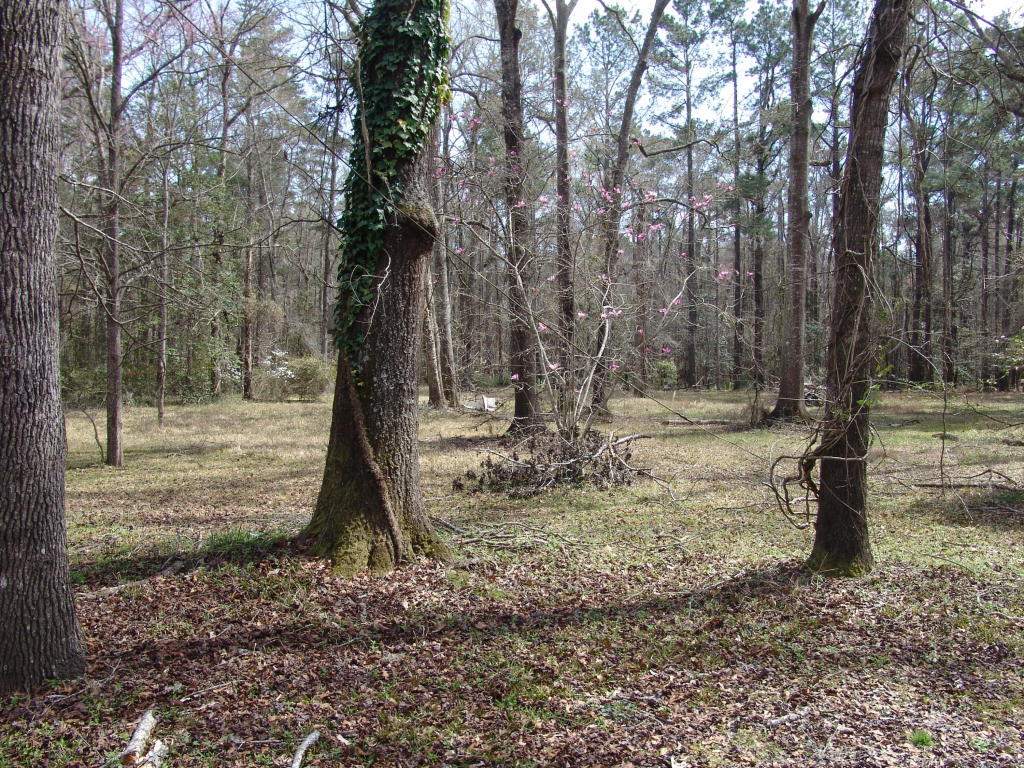 512 Twin Lake Drive, Summerville, SC 29483