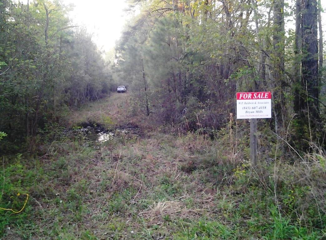 0 Ritter Road, Walterboro, SC 29488