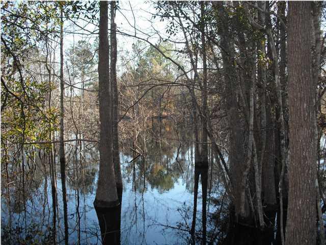 0 Ritter Road, Walterboro, SC 29488