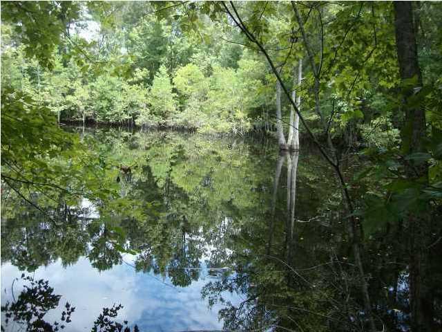0 Ritter Road, Walterboro, SC 29488