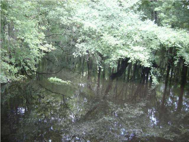 0 Ritter Road, Walterboro, SC 29488