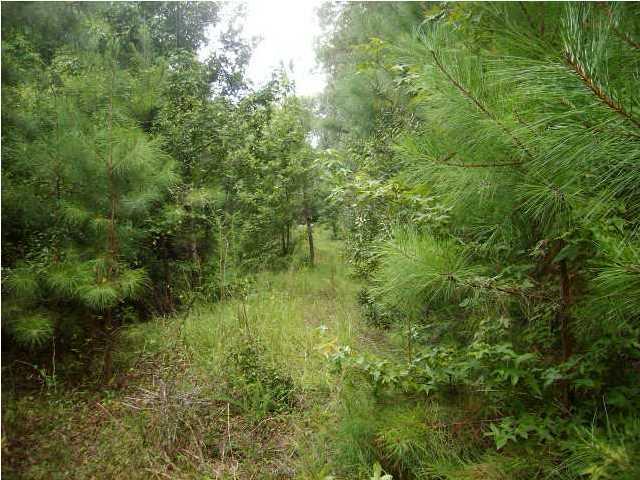 0 Ritter Road, Walterboro, SC 29488