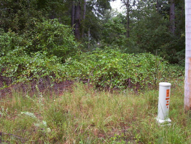 000 Rentz Road, Walterboro, SC 29488