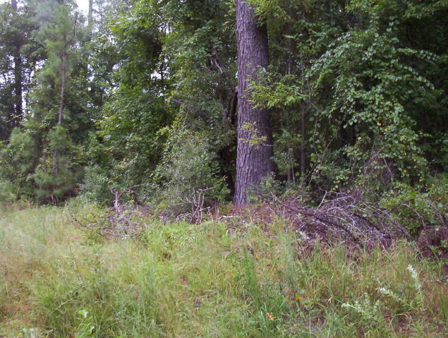 000 Rentz Road, Walterboro, SC 29488