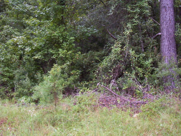 000 Rentz Road, Walterboro, SC 29488
