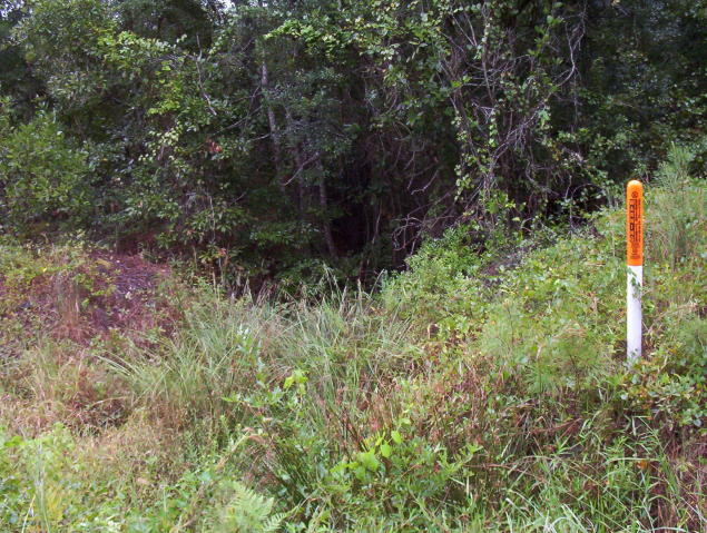 000 Rentz Road, Walterboro, SC 29488