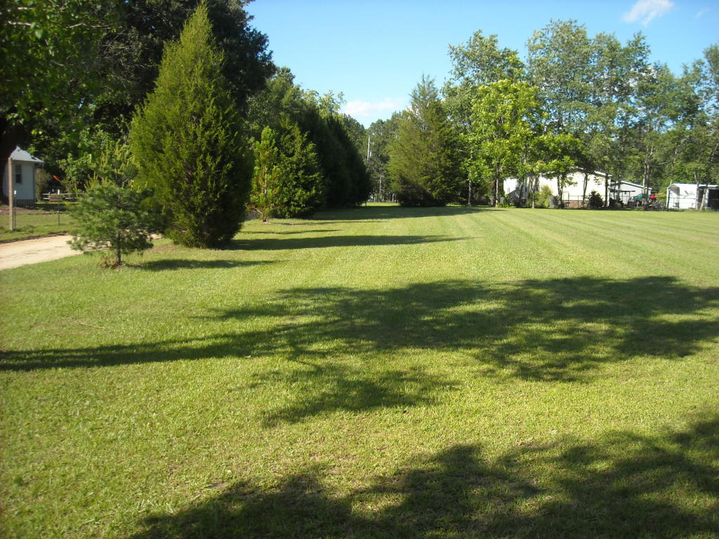 0 Blue Bird, Walterboro, SC 29488