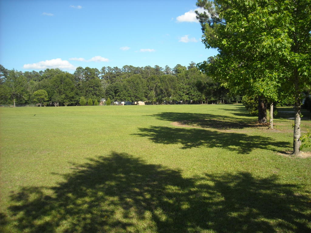 0 Blue Bird, Walterboro, SC 29488