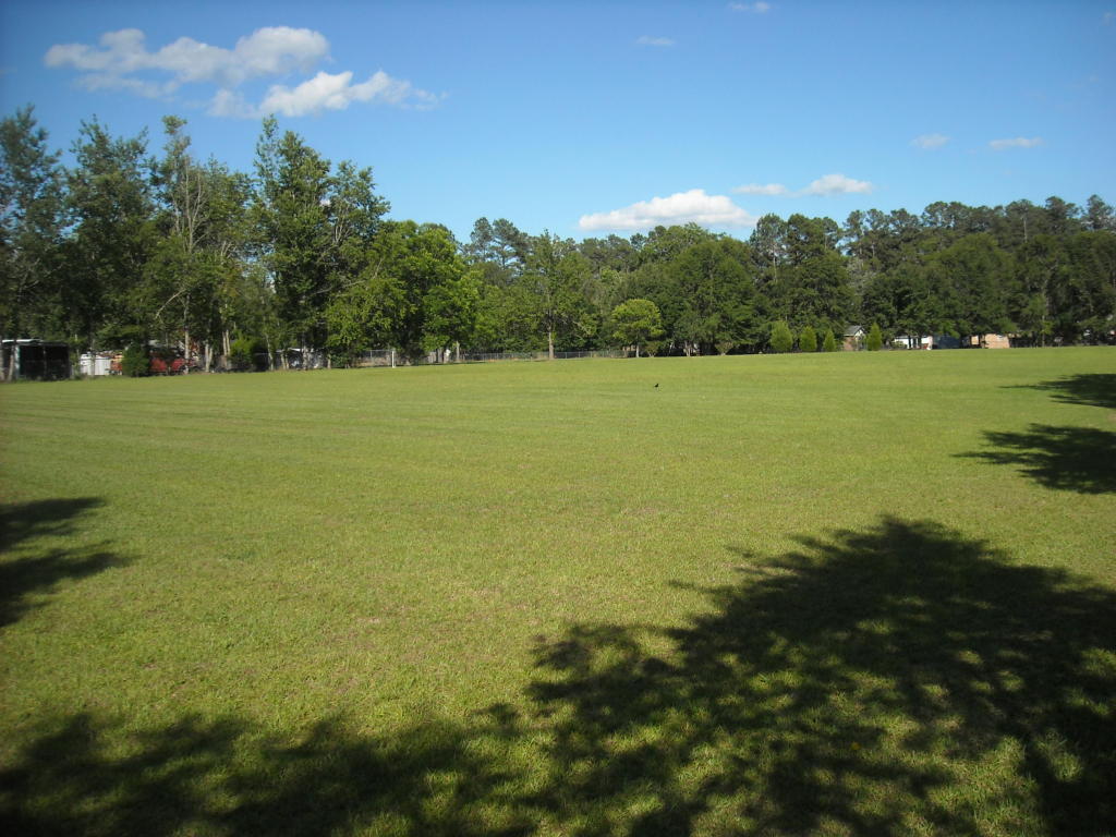 0 Blue Bird, Walterboro, SC 29488