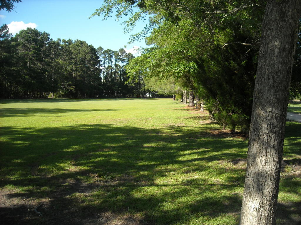 0 Blue Bird, Walterboro, SC 29488