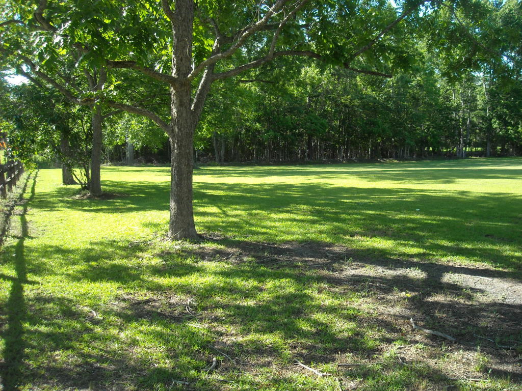 0 Blue Bird, Walterboro, SC 29488
