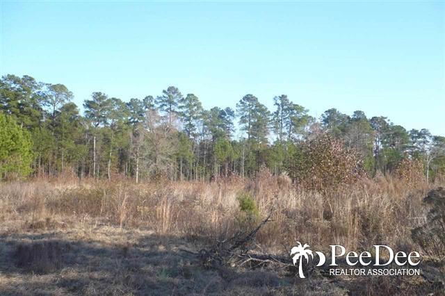 TBD Grey Kat, Florence, SC 29501