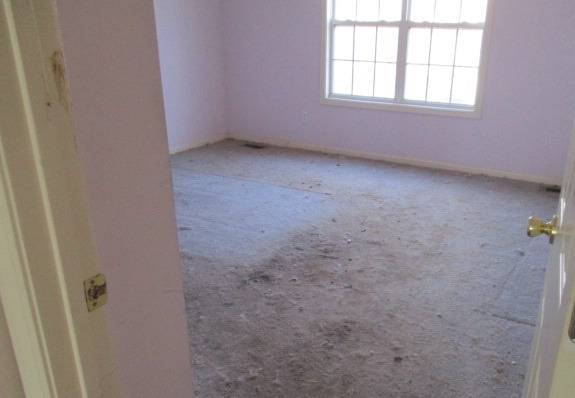 2558 Yosemite CourtFlorence, SC, 29505Florence County