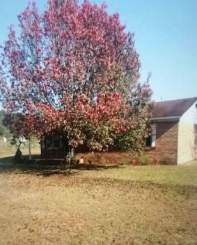 3152 Ebenezer RdBennettsville, SC, 29512Marlboro County