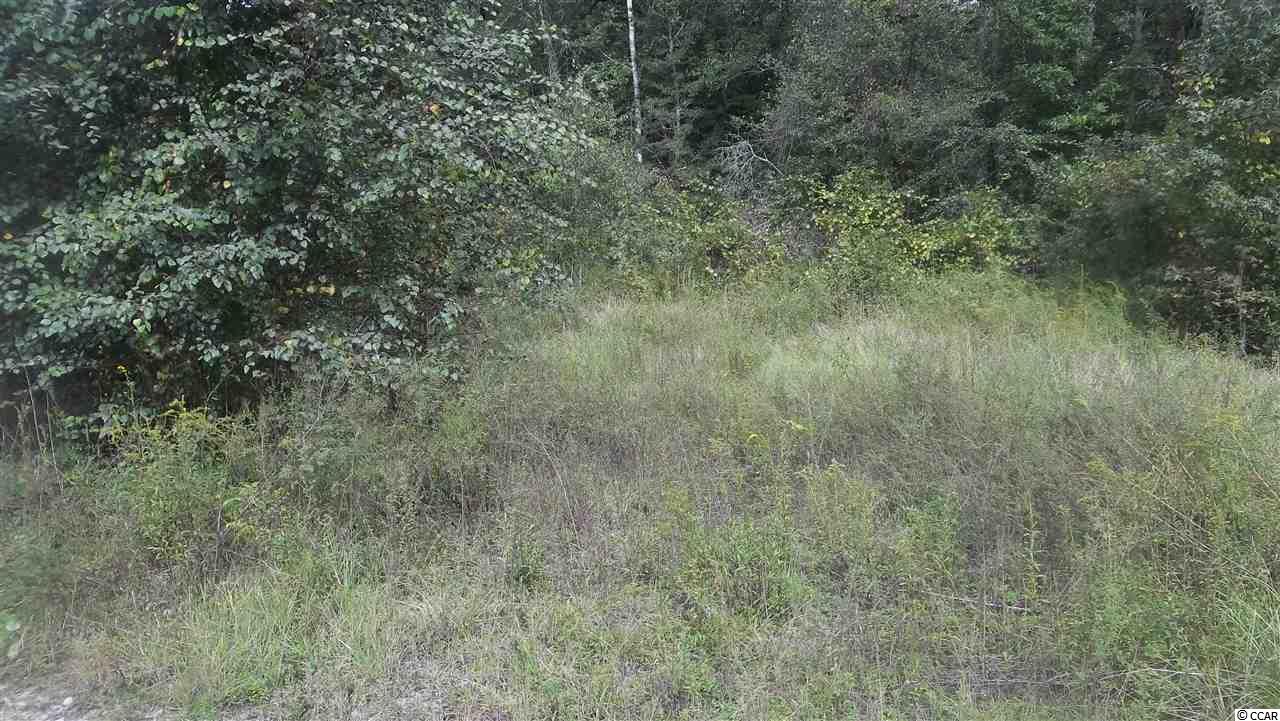 t/b/d/Waccamaw River Drive, Conway, SC 29526