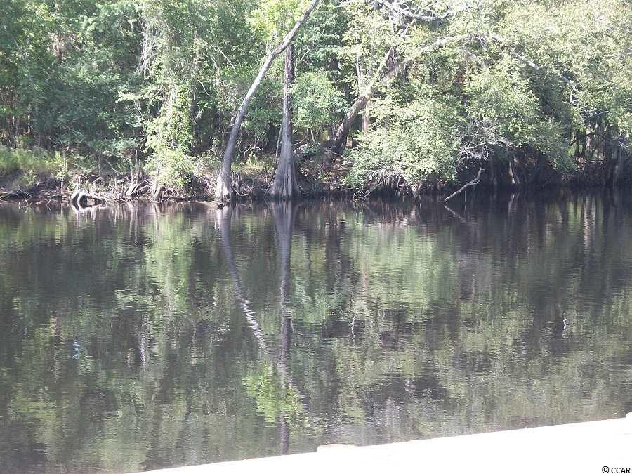 Lot 3Rowe Pond, Conway, SC 29526