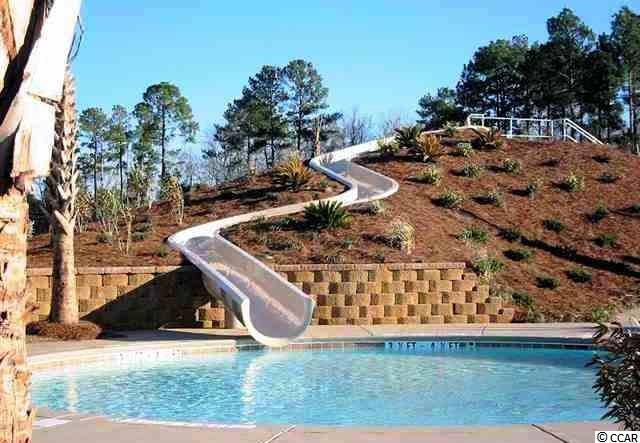 LOT 28Wood Stork, Conway, SC 29526