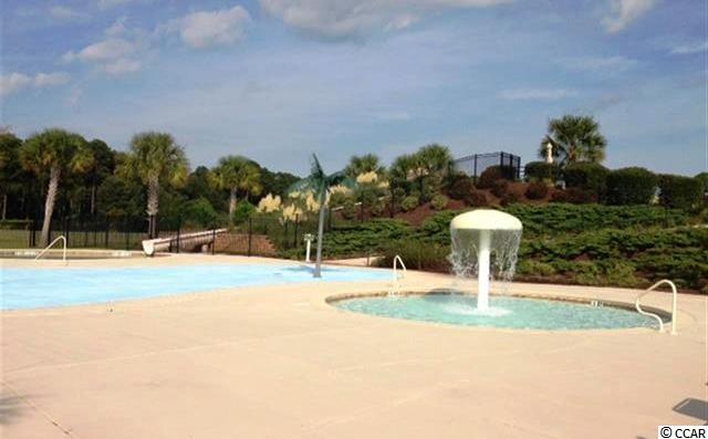 LOT 28Wood Stork, Conway, SC 29526