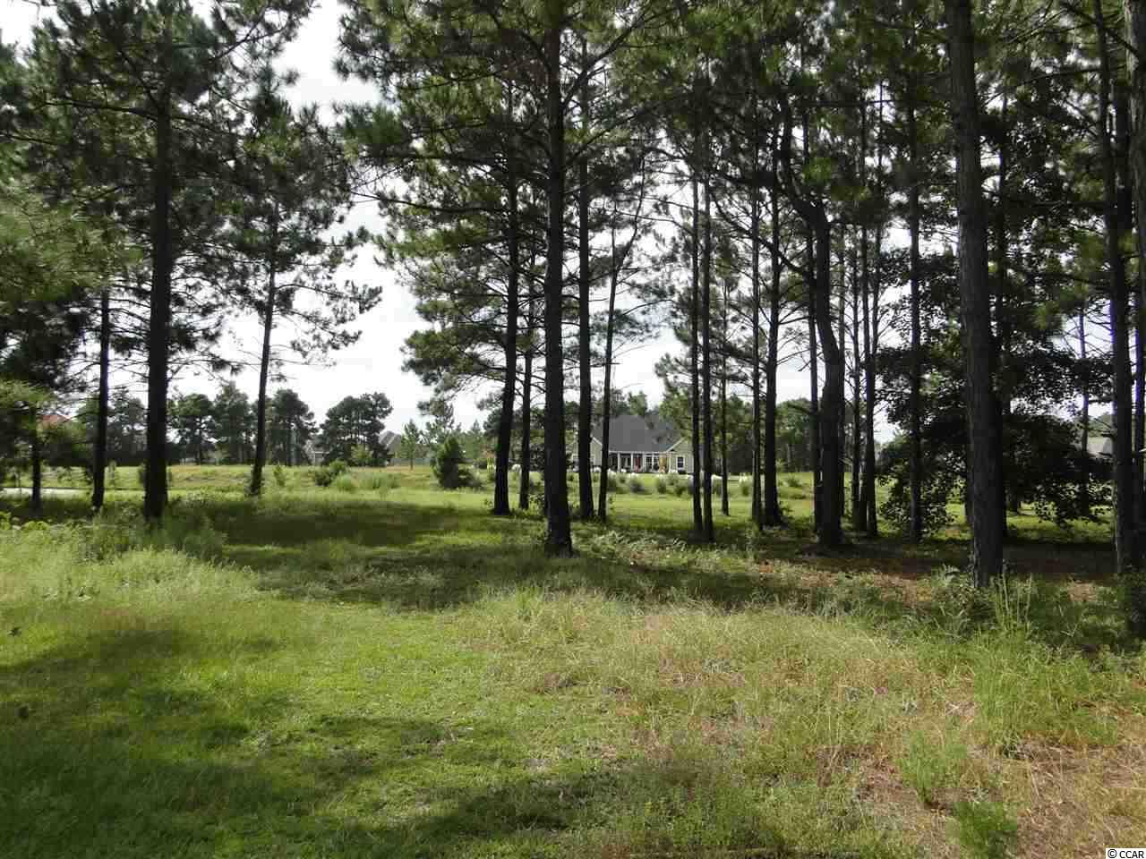 1457Whooping Crane Drive, Conway, SC 29526