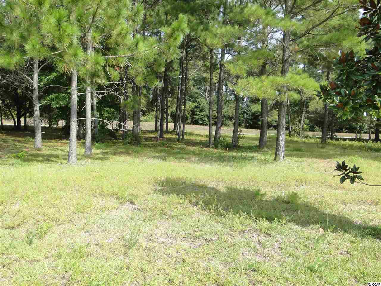 1457Whooping Crane Drive, Conway, SC 29526