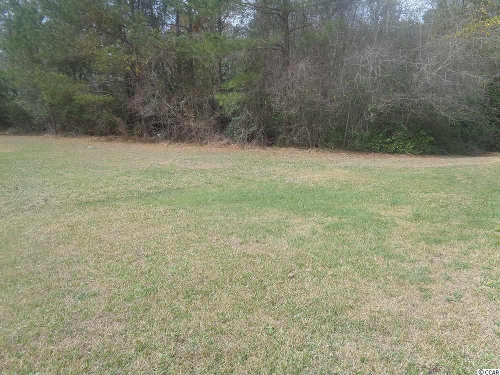1778Bridgewater Dr, Conway, SC 29526
