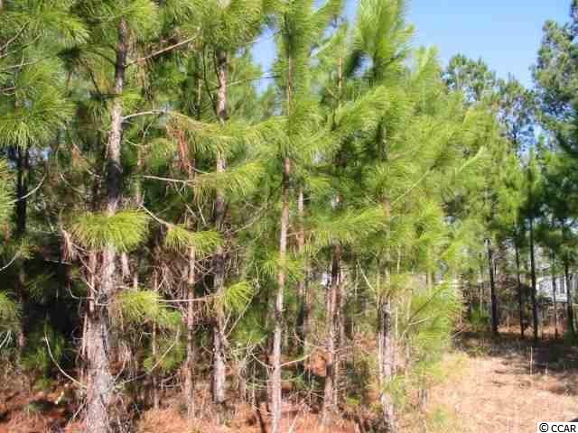 Lot 4Dunn Shortcut Road, Conway, SC 29526