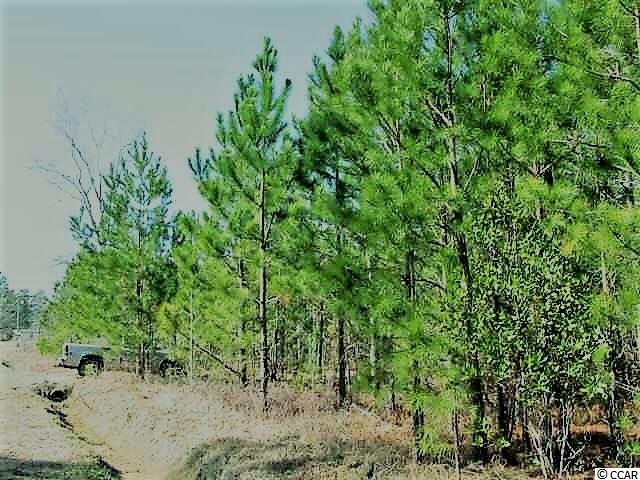 Lot 4Dunn Shortcut Road, Conway, SC 29526