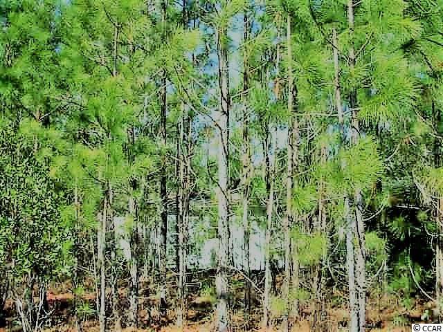 Lot 4Dunn Shortcut Road, Conway, SC 29526