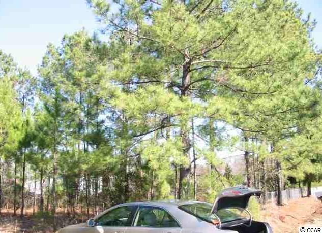 Lot 4Dunn Shortcut Road, Conway, SC 29526