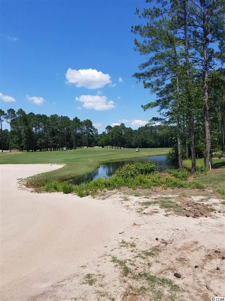 1856Wood Stork Drive, Conway, SC 29526