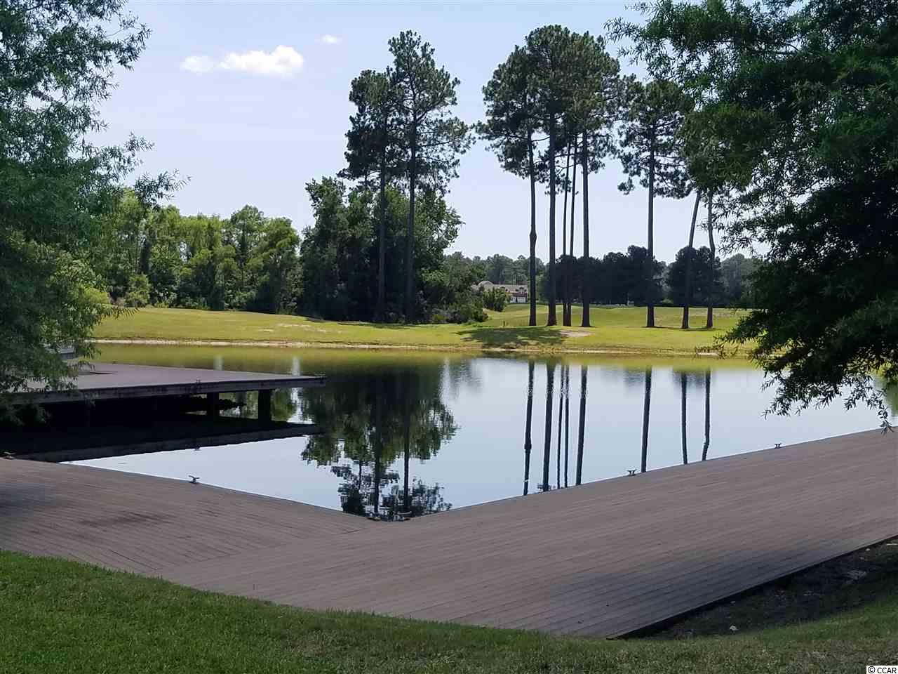 1856Wood Stork Drive, Conway, SC 29526